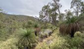 Bushwalk Perth Hills | Scenic lookout on Rocky Pool hike