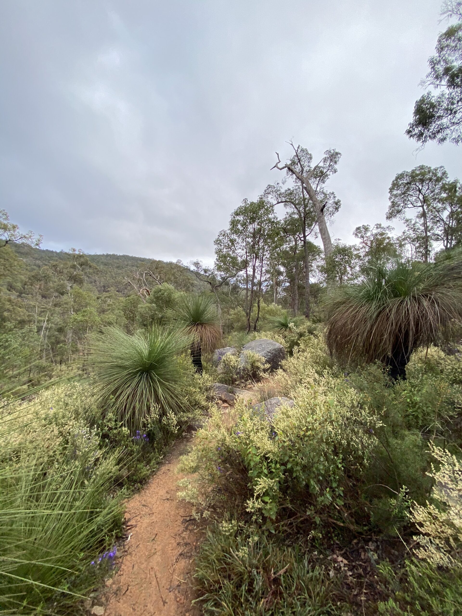 Bushwalk Perth Hills | Scenic lookout on Rocky Pool hike