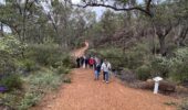 Family friendly hike Perth Hills | Rocky Pool Walk wildflower trail