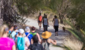 Guided walks Bold Park | Nature hikes near Perth CBD