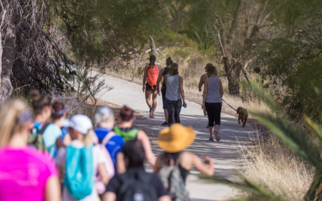 Guided walks Bold Park | Nature hikes near Perth CBD