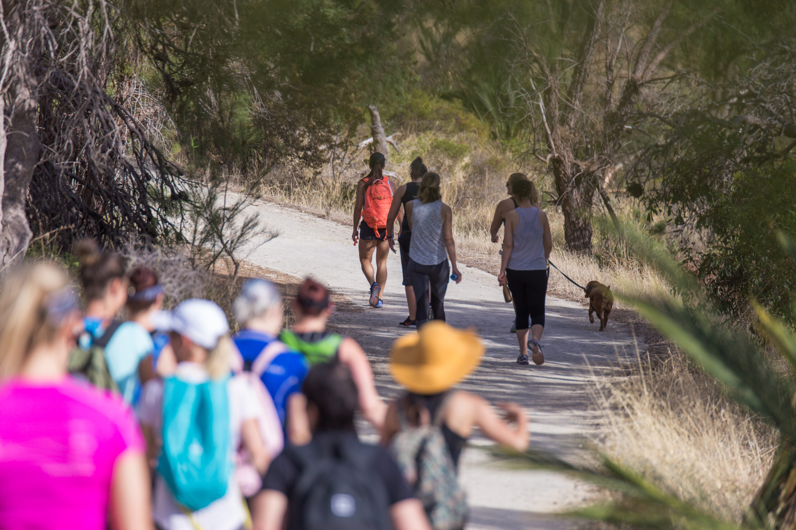 Guided walks Bold Park | Nature hikes near Perth CBD