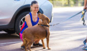 Dog friendly hikes Perth | Bold Park walking trails