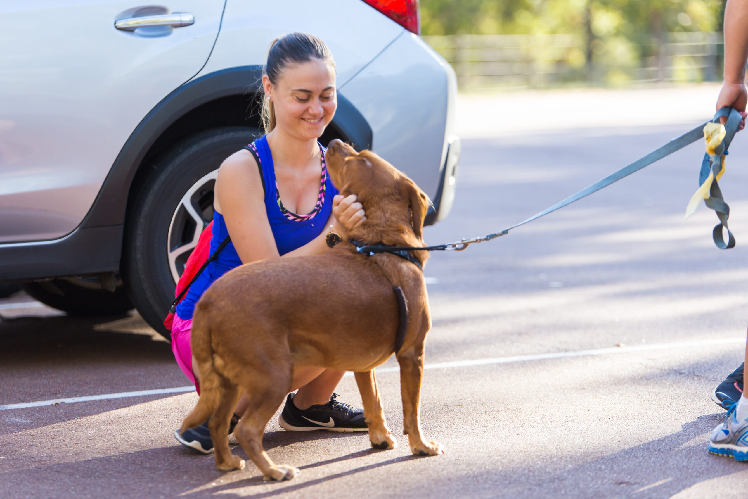Dog friendly hikes Perth | Bold Park walking trails