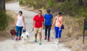 Bold Park hike with dogs | Perth nature trails for families
