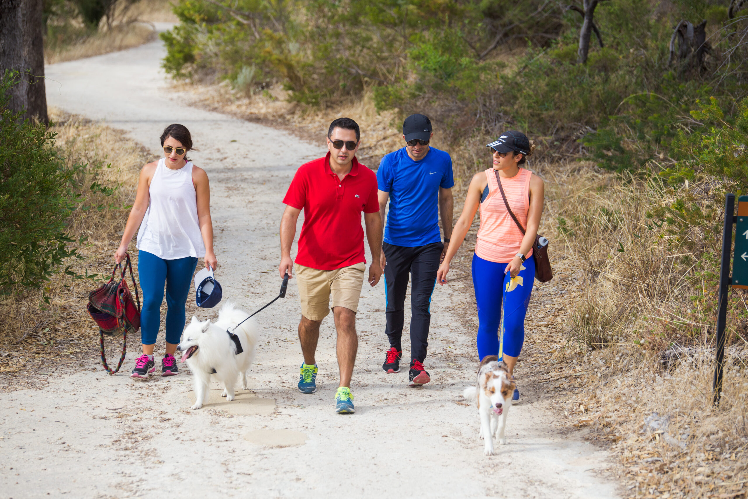 Bold Park hike with dogs | Perth nature trails for families