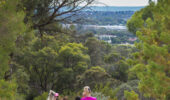 Scenic walking trails Perth | Bold Park bushwalk with city outlook