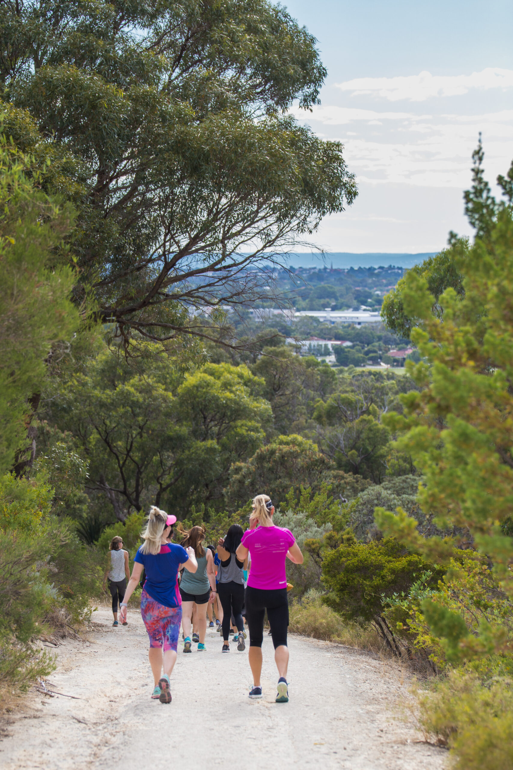 Scenic walking trails Perth | Bold Park bushwalk with city outlook