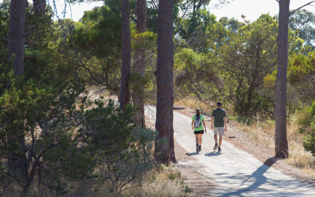 WA Trails
