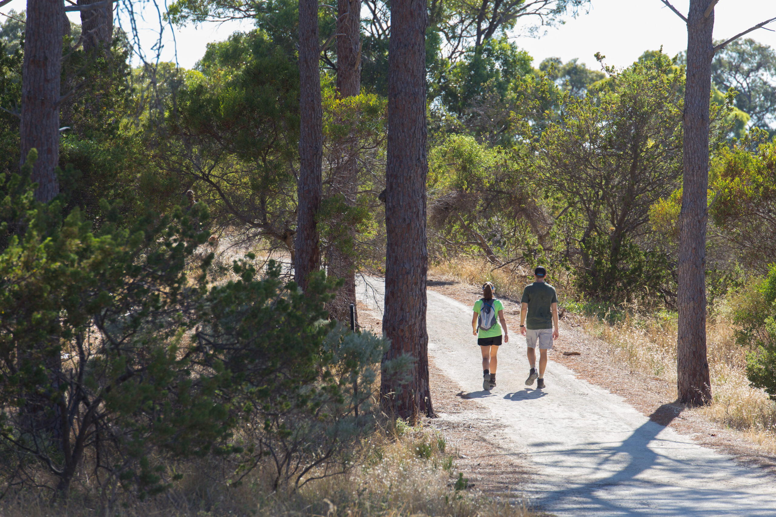 Bushwalks Bold Park Perth | Urban nature trails WA