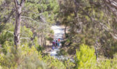 Guided walks Bold Park | Nature hikes near Perth CBD
