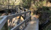 Kitty’s Gorge walking track | Wooden bridge on scenic Perth hike