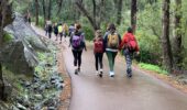 Guided hike Kitty’s Gorge | Forest trail in Serpentine National Park