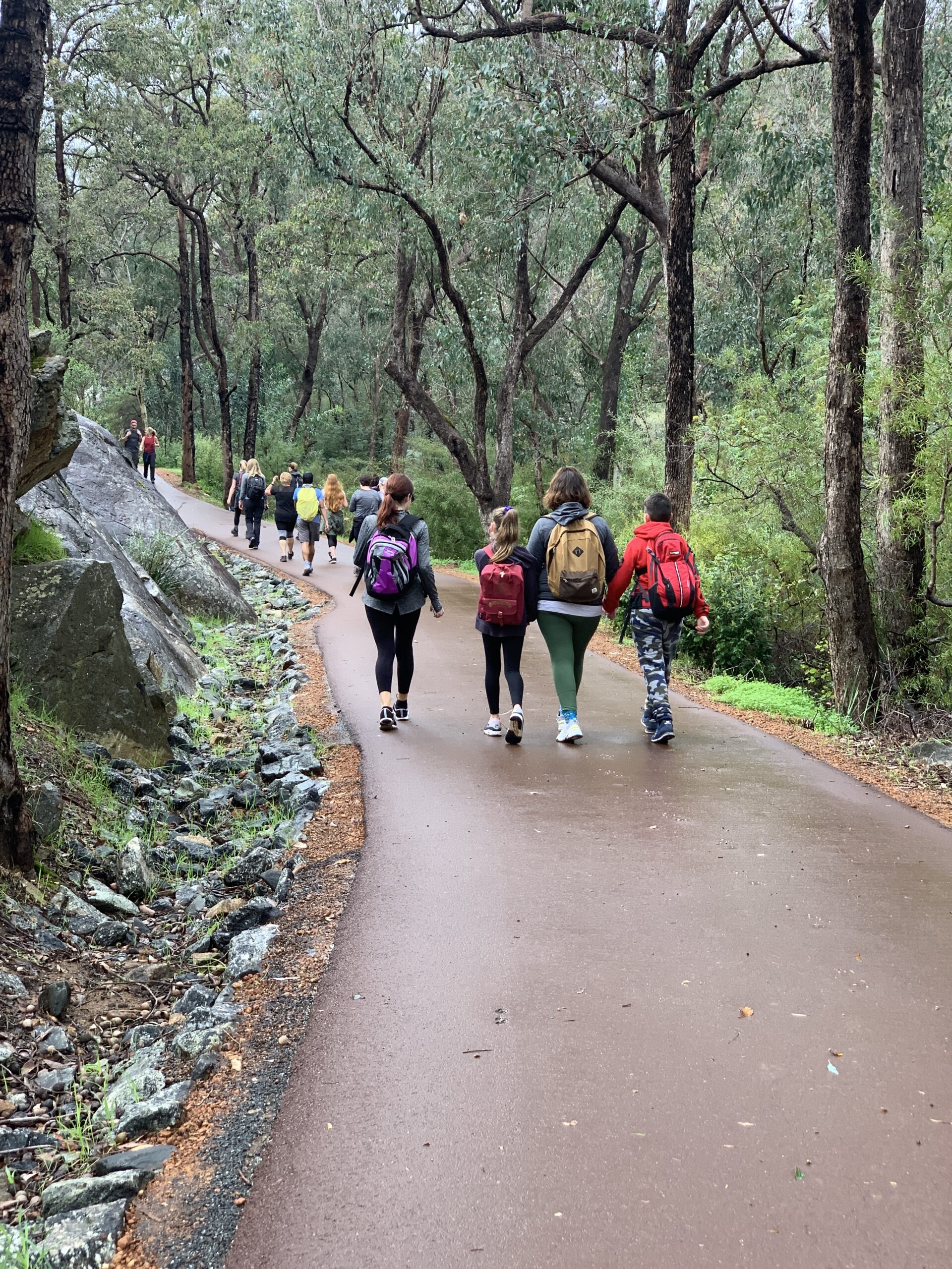Guided hike Kitty’s Gorge | Forest trail in Serpentine National Park