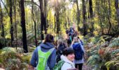 Rocky Pool Walk Perth | Guided bushwalk in Kalamunda National Park