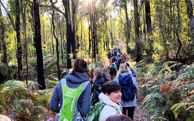 No One Knows What They’re Doing on a Hike (Including Me)
