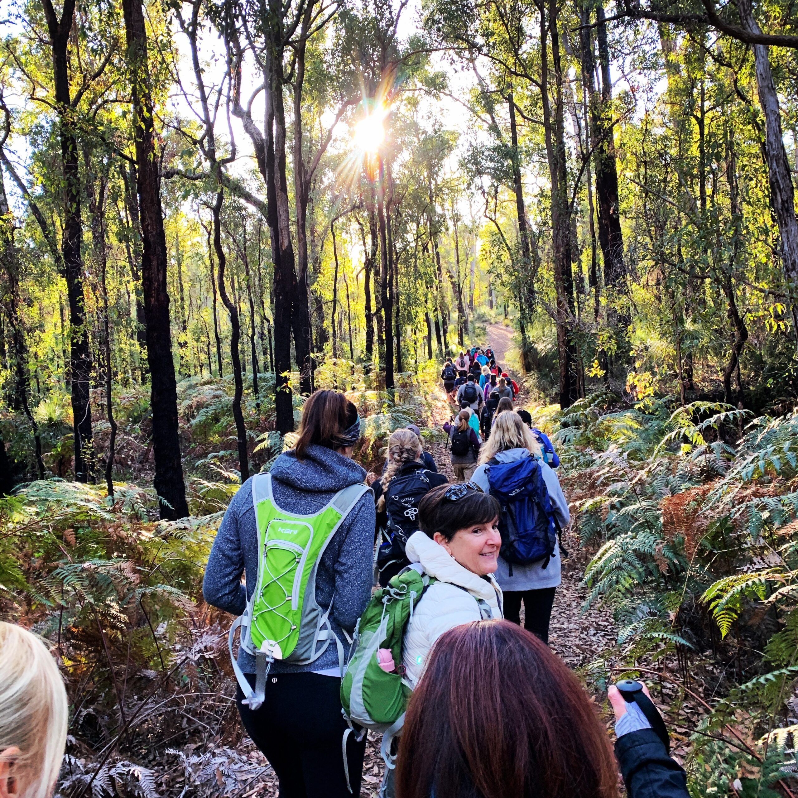 Rocky Pool Walk Perth | Guided bushwalk in Kalamunda National Park
