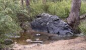 Rocky Pool trail Perth | Stream crossing on Kalamunda hike