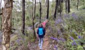 Wildflower hike Perth | Spring walk on Rocky Pool trail