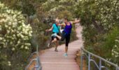 Bluff Knoll walking trail | Stirling Range guided hikes WA