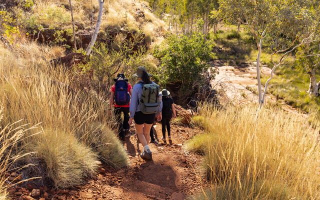 What We’ve Forgotten About Human Nature